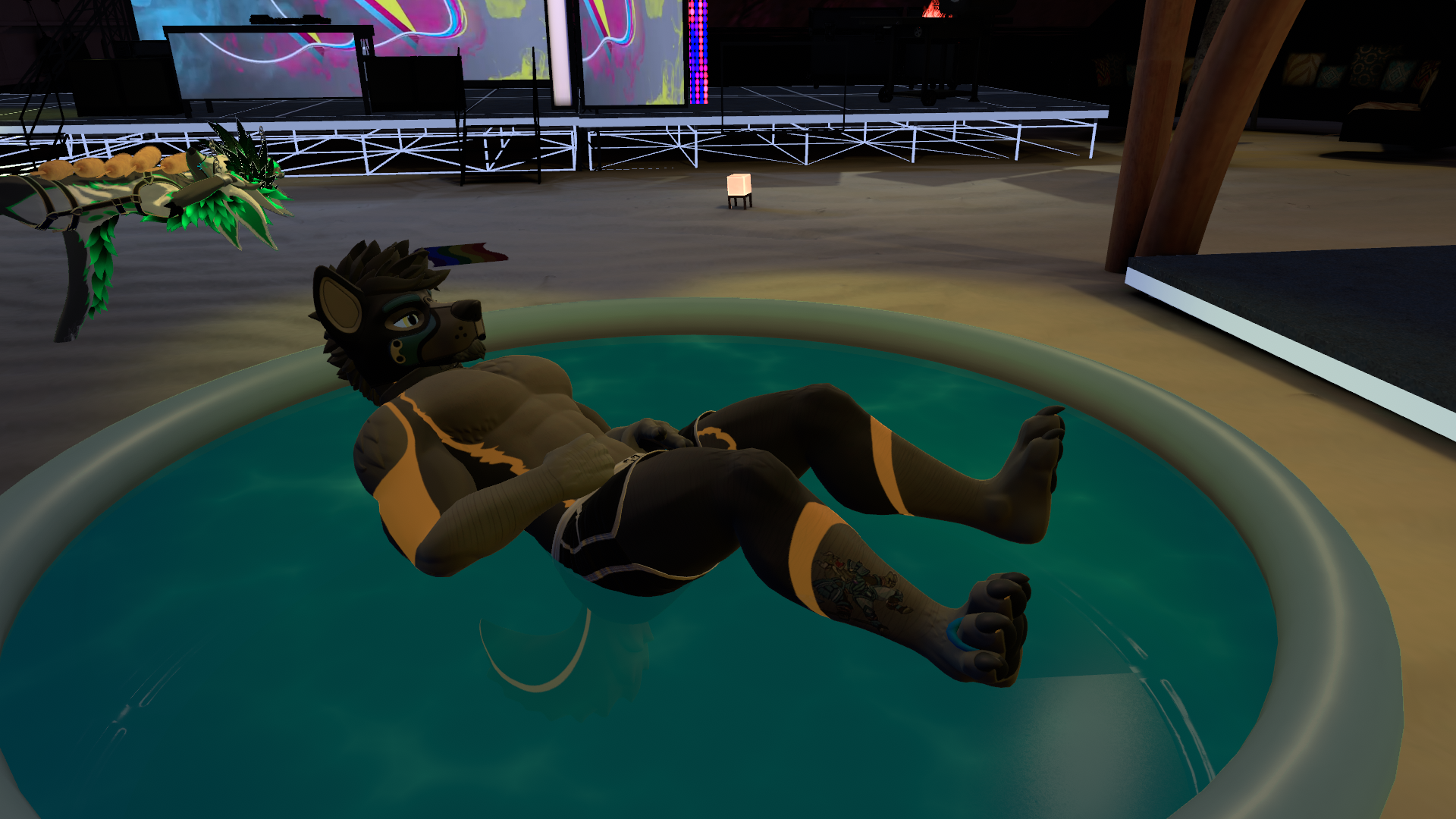 solo pool.png