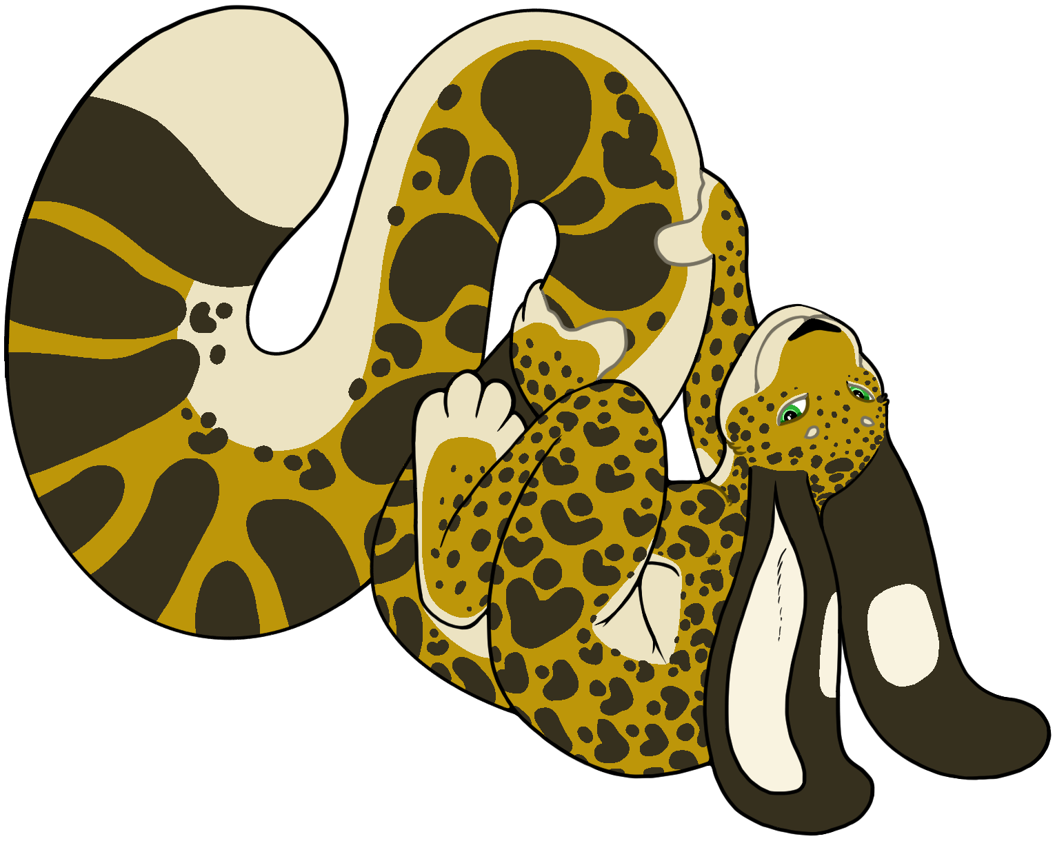 250519-Tailcare-c-full.png