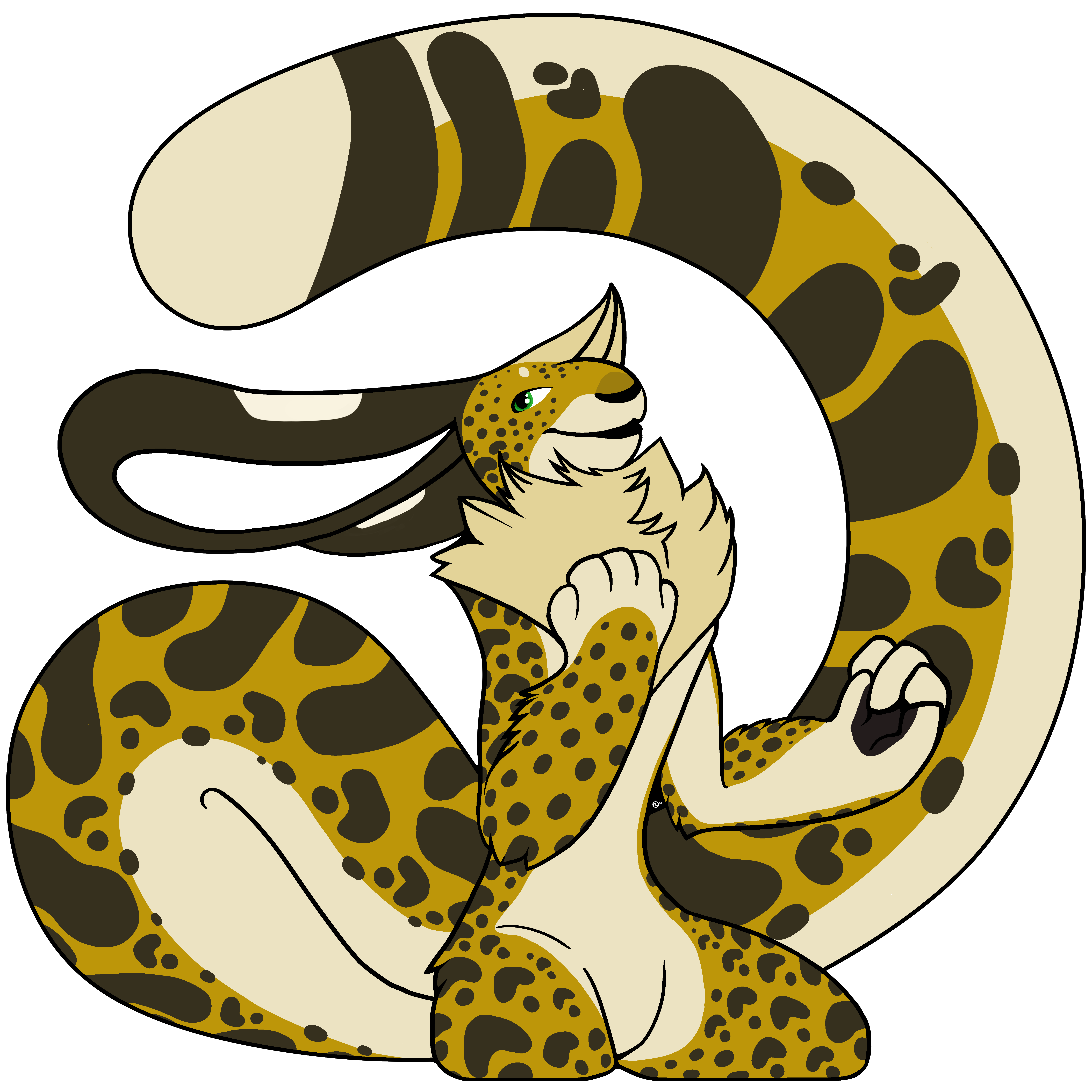 240619- BDAY-c-6400.png